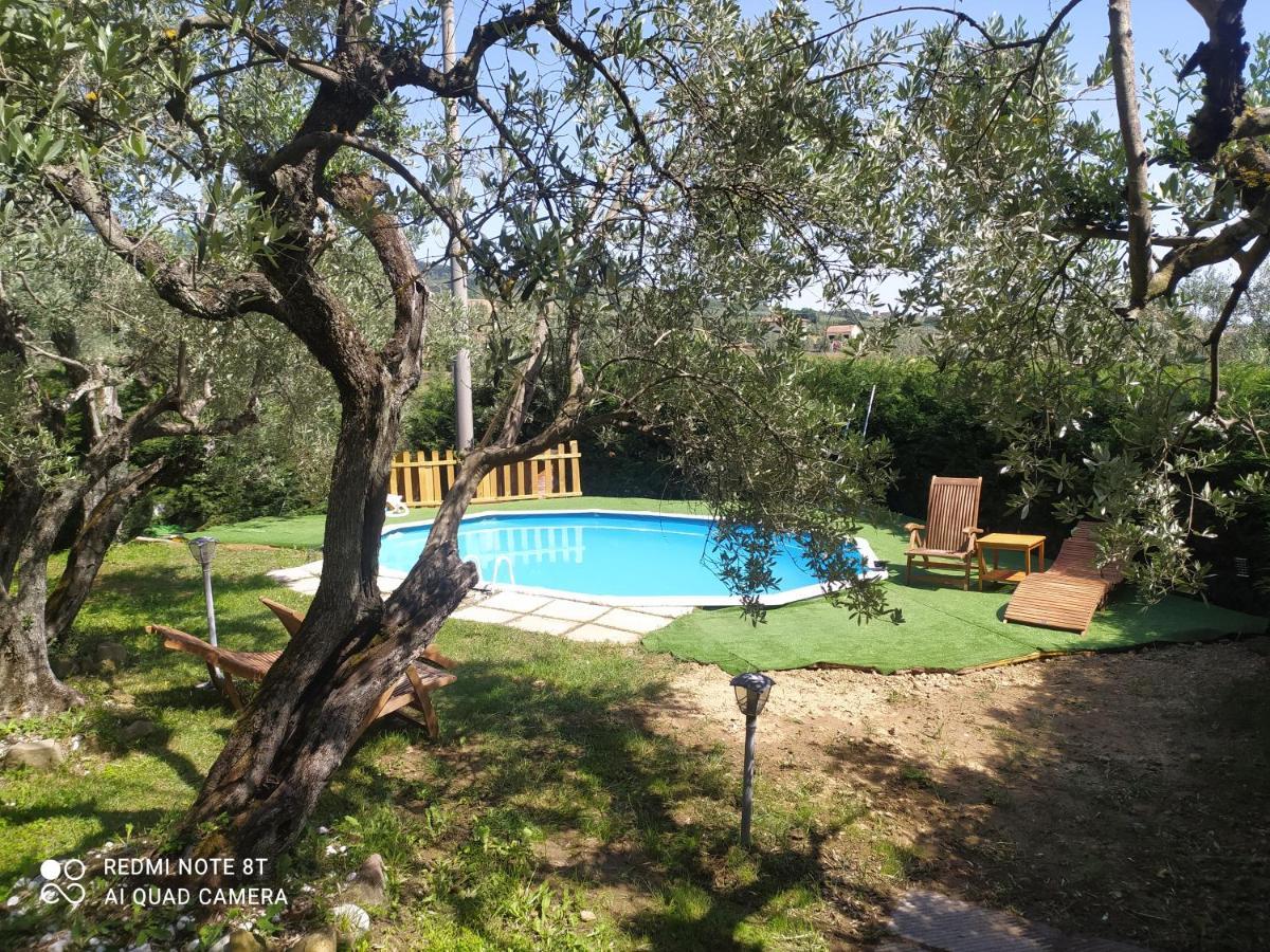 Il Borgo Dei Pini Apartment Vinci Exterior photo