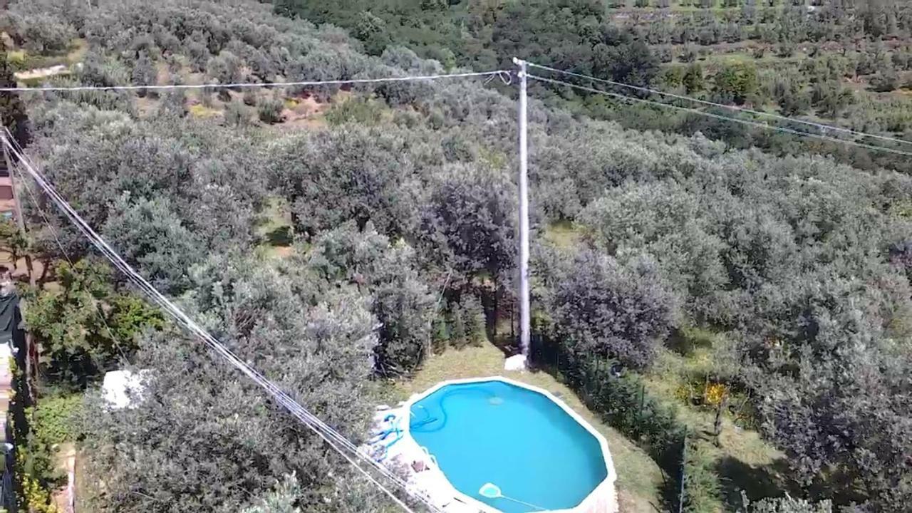 Il Borgo Dei Pini Apartment Vinci Exterior photo