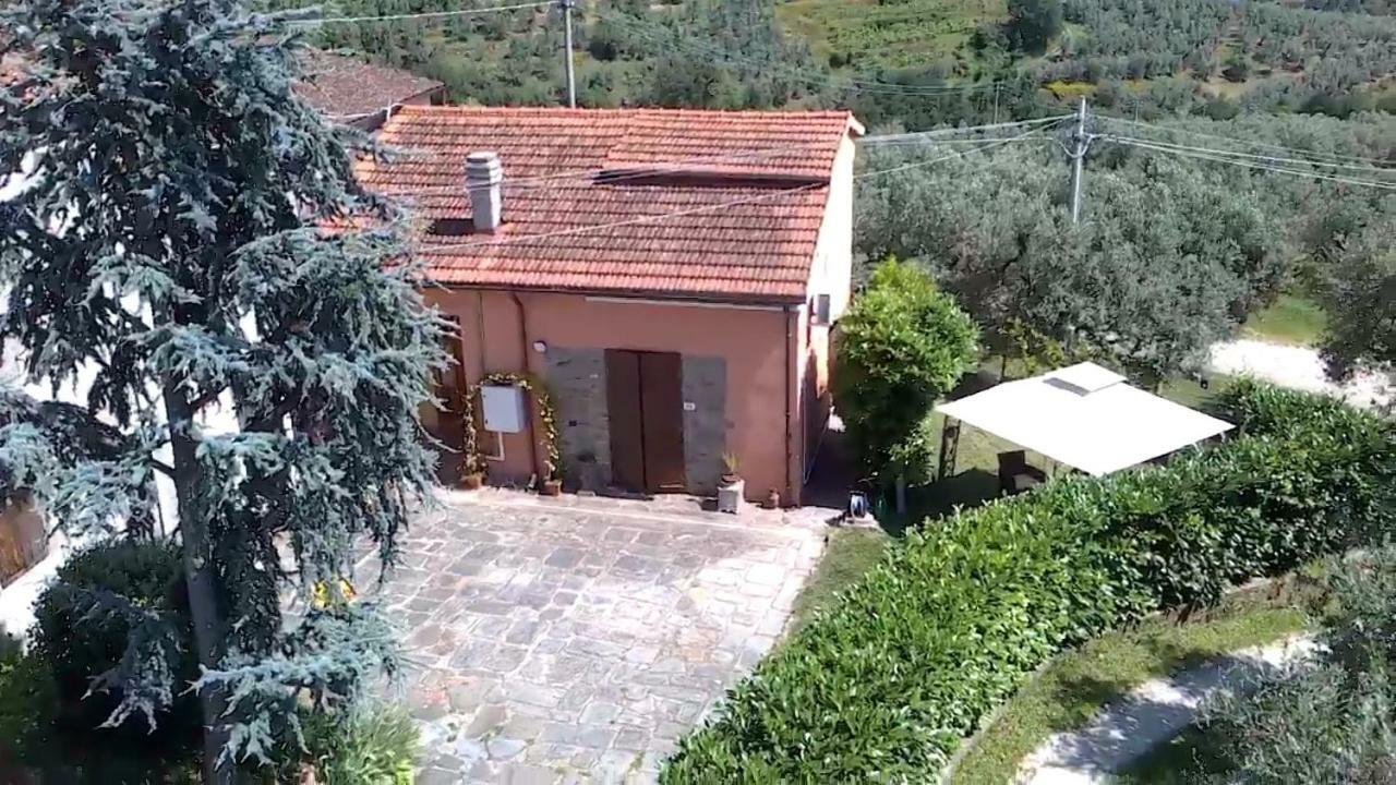 Il Borgo Dei Pini Apartment Vinci Exterior photo